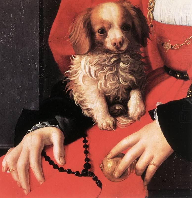 Portrait of a Lady with a Puppy (detail) fg, BRONZINO, Agnolo